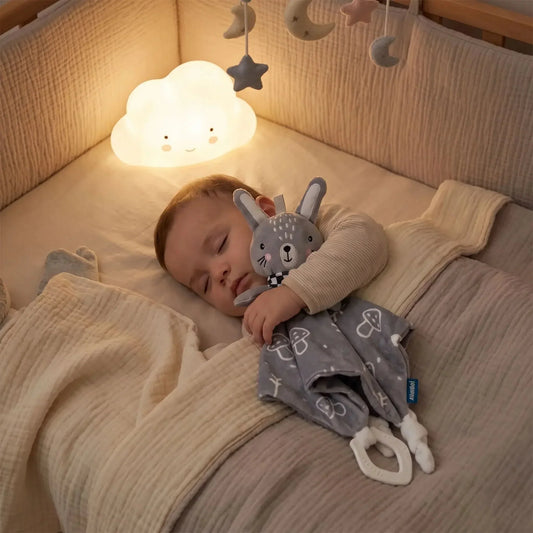 bebe paisiblement endormi dans son lit serrant un doudou bebe garcon